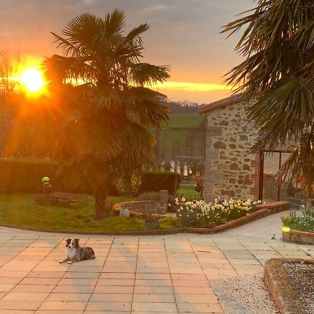 La Basse Monniere Bed & Breakfast Sevremont ภายนอก รูปภาพ