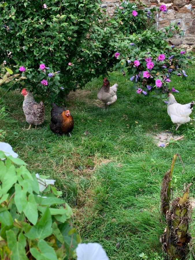 La Basse Monniere Bed & Breakfast Sevremont ภายนอก รูปภาพ