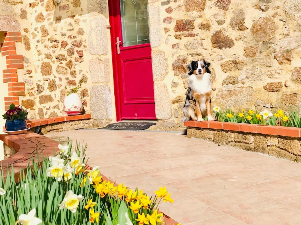 La Basse Monniere Bed & Breakfast Sevremont ภายนอก รูปภาพ